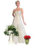 Quinceanera Dress 3622